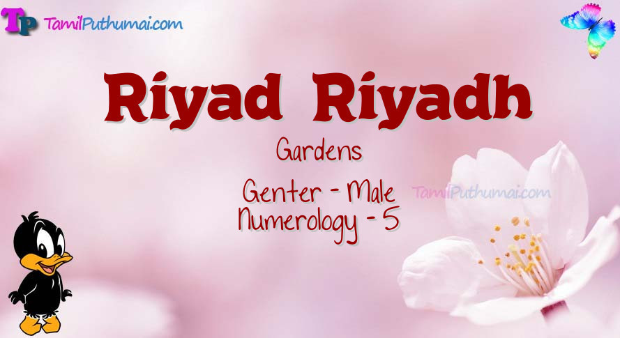 Riyad  Riyadh-babyname-meaning